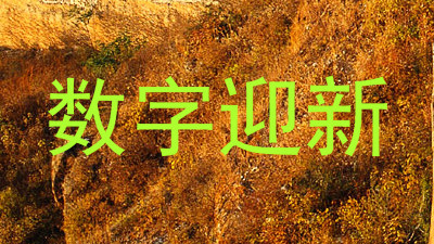数字迎新