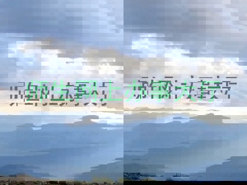 师生网上办事大厅