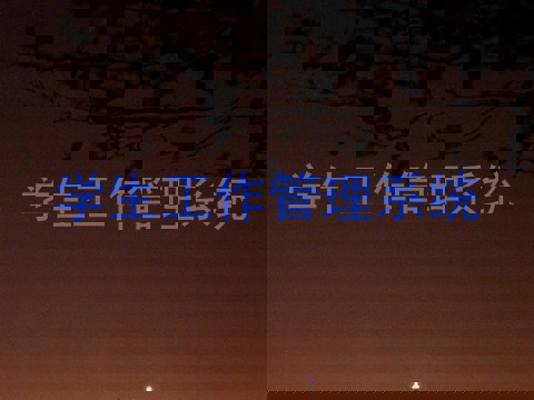 学生工作管理系统