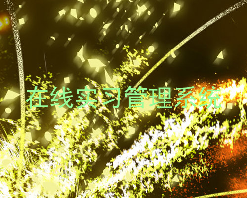在线实习管理系统