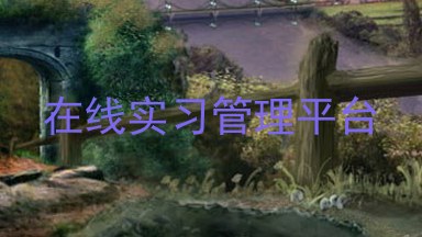 在线实习管理平台