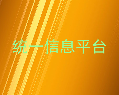 统一信息平台