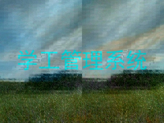 学工管理系统