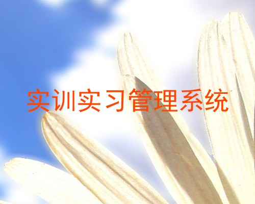 实训实习管理系统