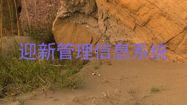 迎新管理信息系统
