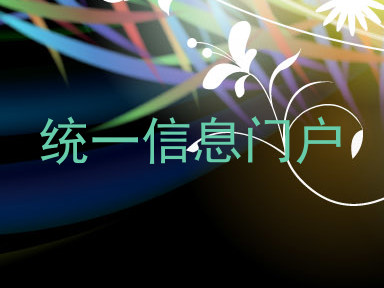 统一信息门户