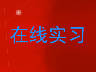 在线实习