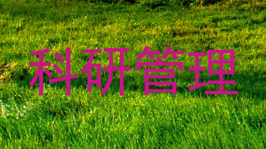 科研管理