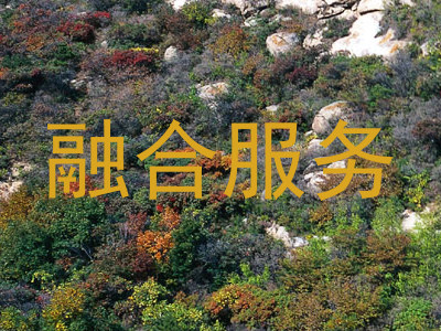 融合服务
