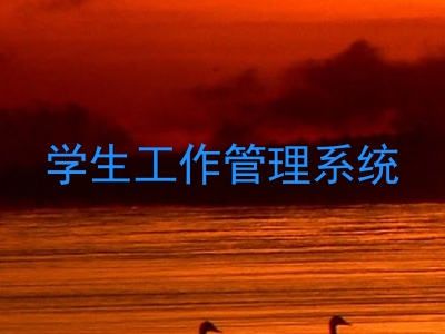 学生工作管理系统