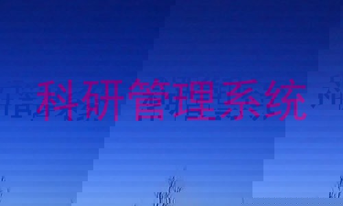 科研管理系统