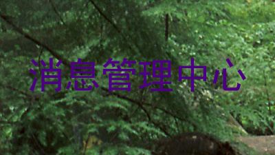 消息管理中心