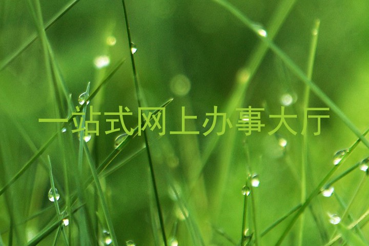 一站式网上办事大厅