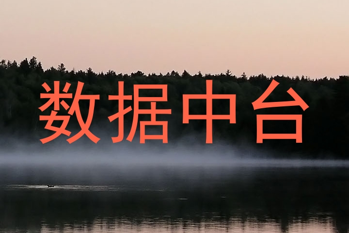 数据中台