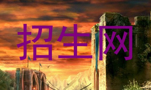 招生网