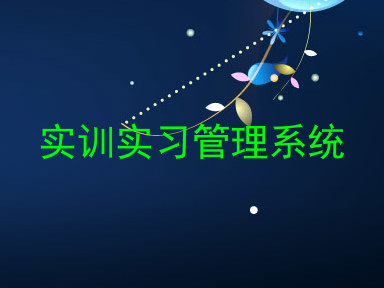 实训实习管理系统