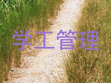 学工管理