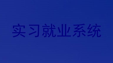 实习就业系统
