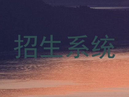 招生系统