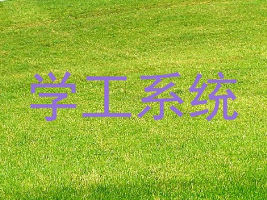 学工系统