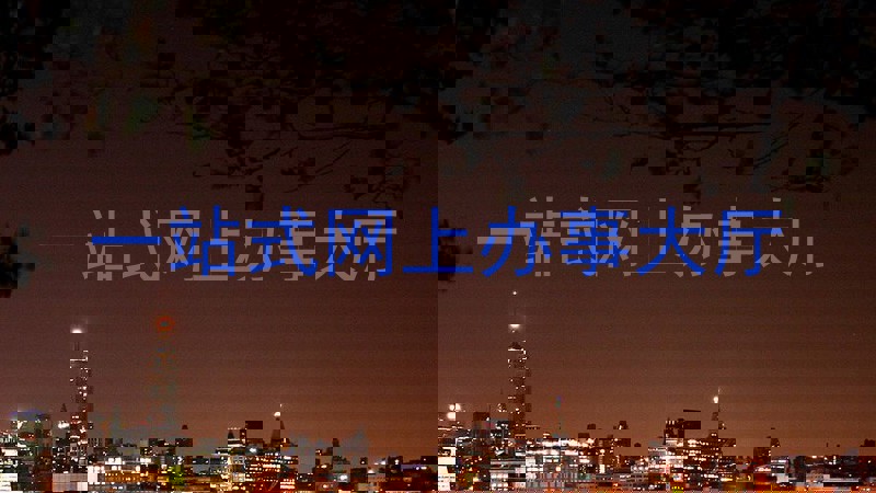 一站式网上办事大厅