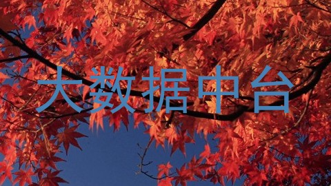 大数据中台