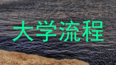大学流程
