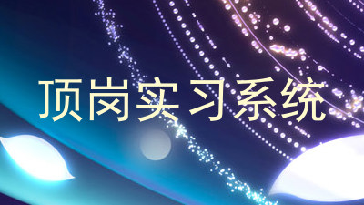 顶岗实习系统