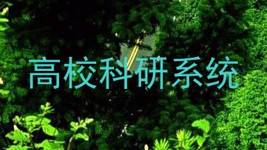 高校科研系统