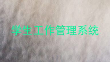 学生工作管理系统