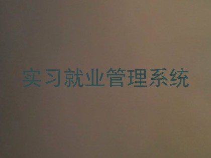 实习就业管理系统