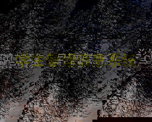 学生管理信息系统