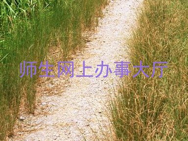 师生网上办事大厅