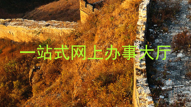 一站式网上办事大厅