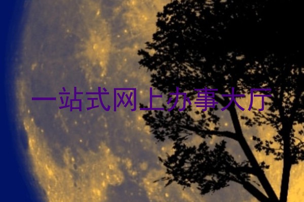 一站式网上办事大厅