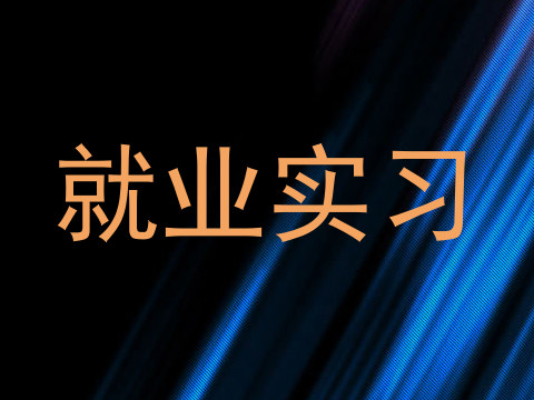 就业实习