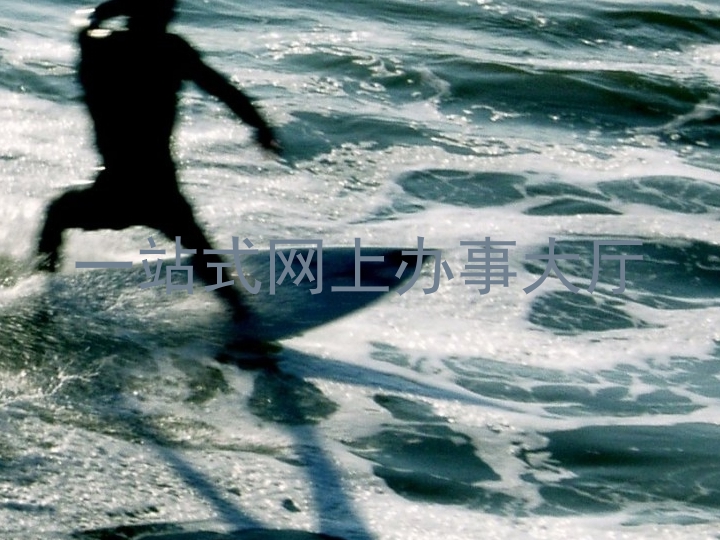 一站式网上办事大厅