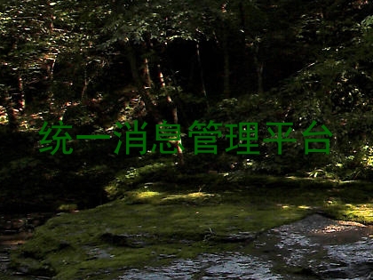 统一消息管理平台