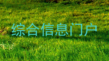 综合信息门户