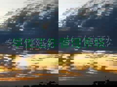 学生工作管理系统