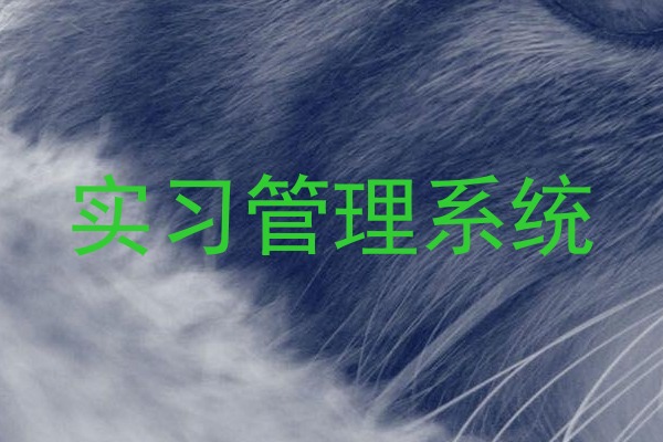 实习管理系统