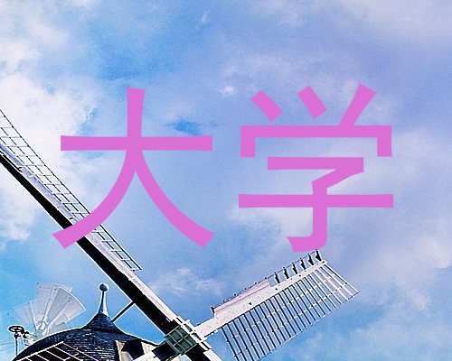 大学