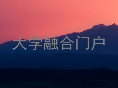 大学融合门户
