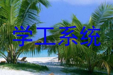 学工系统