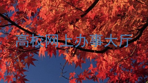 高校网上办事大厅