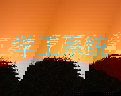 学工系统