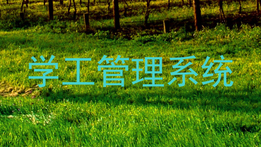 学工管理系统