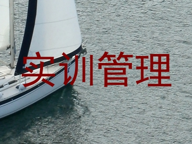 实训管理