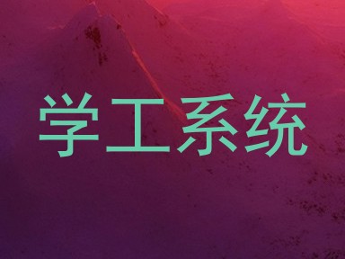学工系统