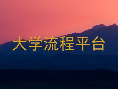大学流程平台